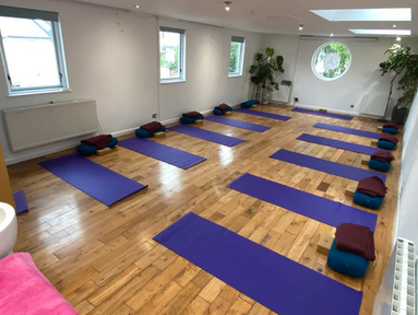 Dru Yoga Fridays 9:30-10:45am, May - June 2026